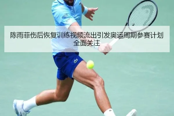 陈雨菲伤后恢复训练视频流出引发奥运周期参赛计划全面关注