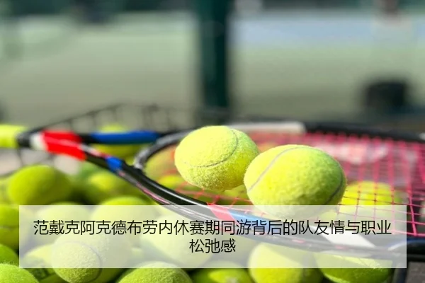 范戴克阿克德布劳内休赛期同游背后的队友情与职业松弛感