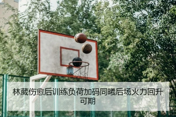 林葳伤愈后训练负荷加码同曦后场火力回升可期